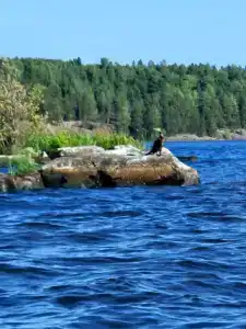 Медовое Ранчо - 32