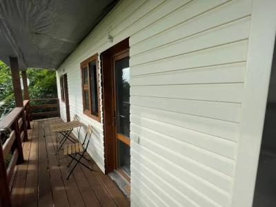 Среди сосен - 29