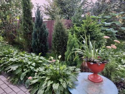 целиком на 6 человек - 24