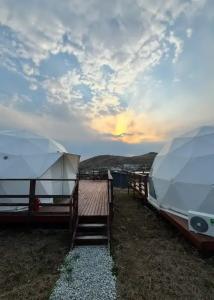 Аквариум - 162