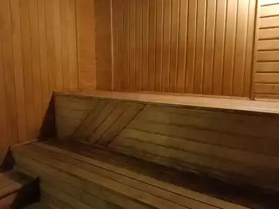 Золотой Петушок - 25