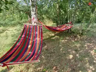 Лесной уголок - 11