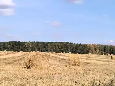 Душевное место - 29