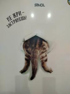 Квартиры на Чкалова 18 - 302