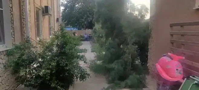 Дакадан - 131