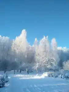 Полинкино - 21