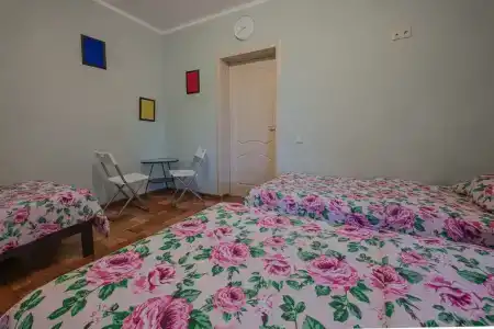 Зеленый Дом - 12