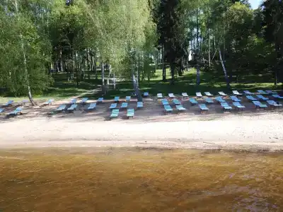 Вишня - 19