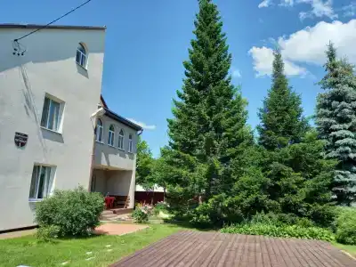 У Силиих - 38