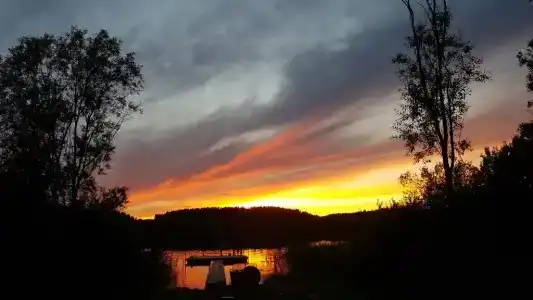 Барсятос - 47