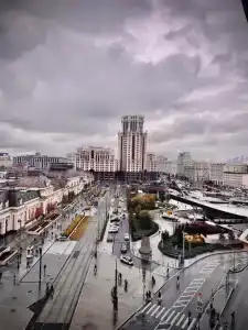 Ель Павелецкая - 16