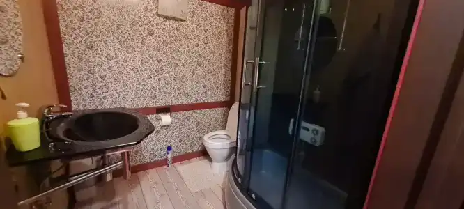Барские сосны - 13