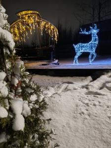 A-frame Сосновый бор - 125