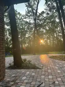 Дубовая Роща - 2