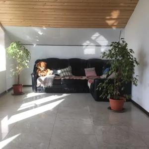 Lucky House - 21