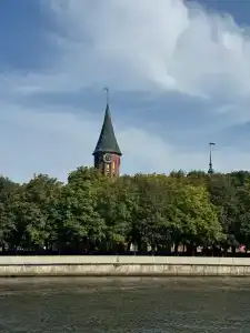 Квартиры на Старопрегольской набережной 16 - 234