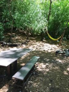 Среди сосен - 10