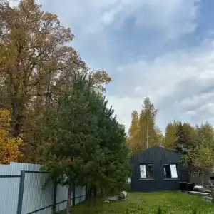Лесной - 28