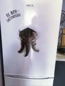 Квартиры на Чкалова 18 - 369