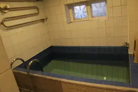 Уютный дом у Монрепо с русской баней - 33