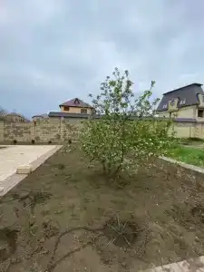 Дача на берегу моря - 121