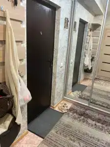 Спутник - 8