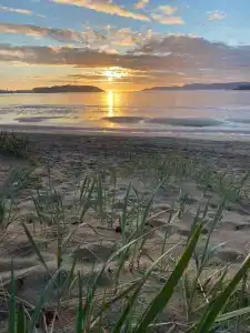 Гостевой дом - 154