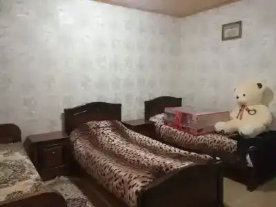 Сова - 14