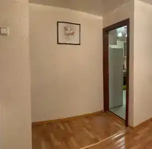 Квартира в центре Мельникайте 99 - 8