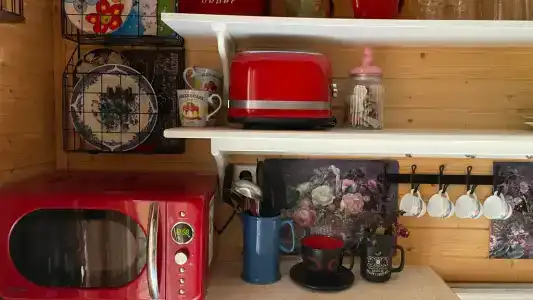 Уютный домик в сосновом лесу - 69