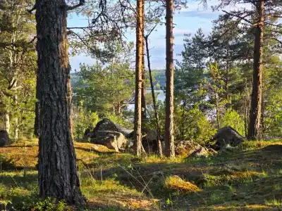 Karelian Barnhouse - 47