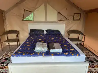 Глэмп -Кунаки - 2