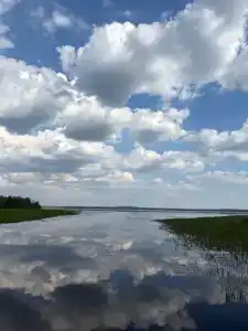 Гостевой дом в Городище - 31
