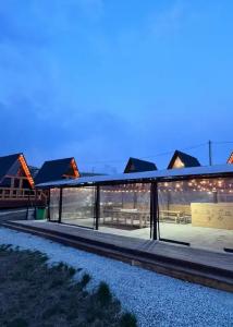 Аквариум - 132