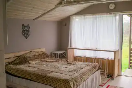 Боровики - 2