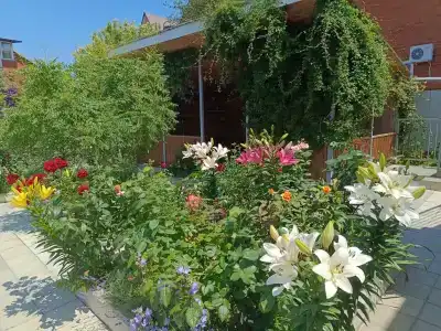 Отдых у моря - 76