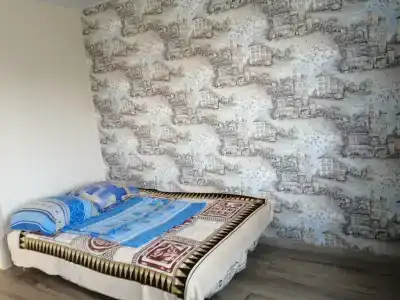 Уютный домик в тихом спальном районе - 15
