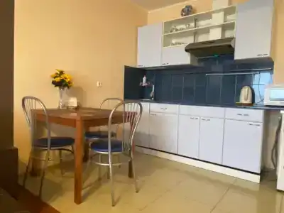 Apartment on Belinskogo 7V - 3