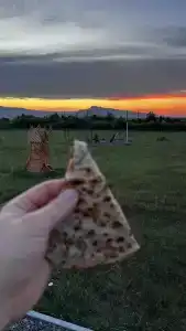 Эко-домики у моря - 75