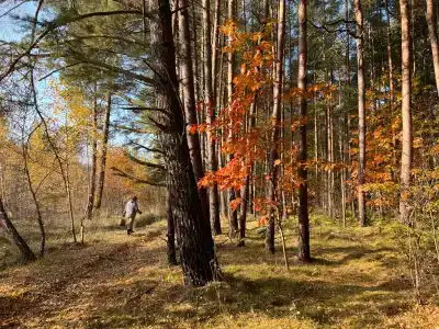 Ветрово - 31