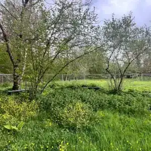 Тихая Водокачка - 9