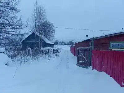 Дом на берегу реки с Русской печкой - 30