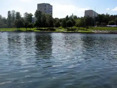 у воды и леса - 10