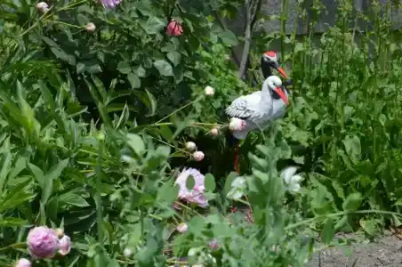 Родничок - 7