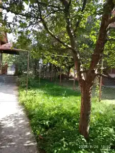 Коттедж терем-люкс в центре - 16