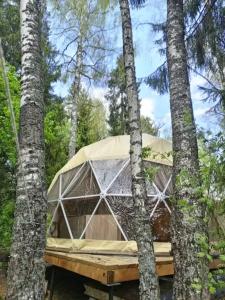 Глэмпинг  Прованс - 118