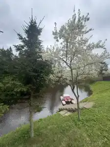Уютный зимний дом в сказочно живописном месте - 28