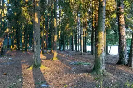 Усадьба Вартемяги - 67