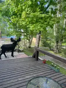 Отдых в тишине у реки - 9
