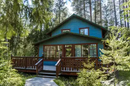 Шишки на Лампушке - 145